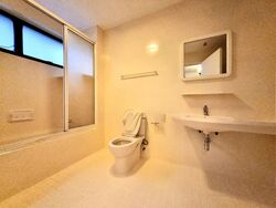 The Cairnhill (D9), Condominium #570790041